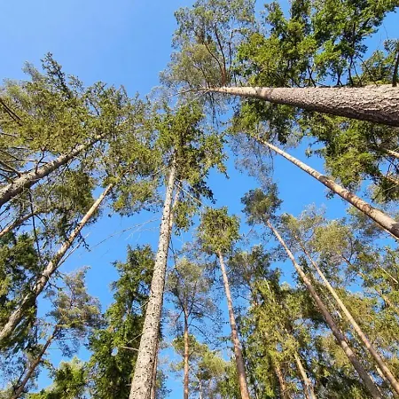 Mazurska Zatoka & - Nad Jeziorem Z Prywatna Plaza I Podgrzewanym Basenem Zewnetrznym, Mazury W Rytmie Slow Lukta