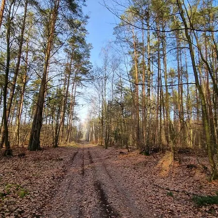 Mazurska Zatoka & - Nad Jeziorem Z Prywatna Plaza I Podgrzewanym Basenem Zewnetrznym, Mazury W Rytmie Slow * Lukta