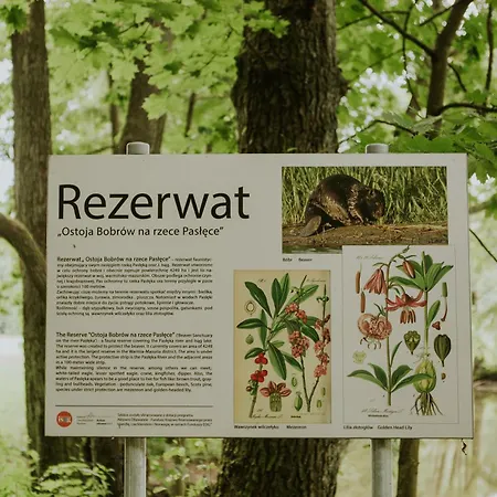 Mazurska Zatoka & - Nad Jeziorem Z Prywatna Plaza I Podgrzewanym Basenem Zewnetrznym, Mazury W Rytmie Slow Apartman Łukta