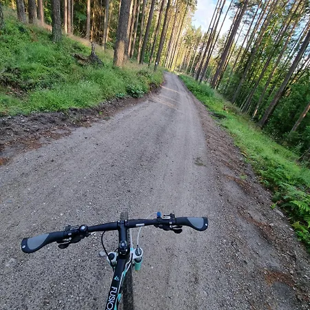 Apartment Mazurska Zatoka & - Nad Jeziorem Z Prywatna Plaza I Podgrzewanym Basenem Zewnetrznym, Mazury W Rytmie Slow