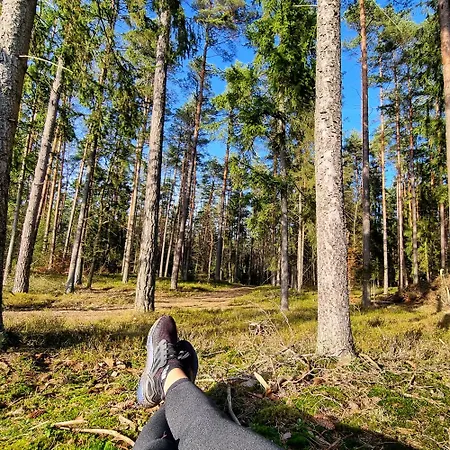 Mazurska Zatoka & - Nad Jeziorem Z Prywatna Plaza I Podgrzewanym Basenem Zewnetrznym, Mazury W Rytmie Slow Łukta