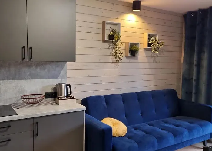 Mazurska Zatoka & - Nad Jeziorem Z Prywatna Plaza I Podgrzewanym Basenem Zewnetrznym, Mazury W Rytmie Slow *