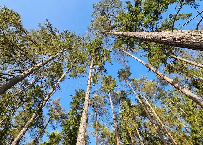 Mazurska Zatoka & - Nad Jeziorem Z Prywatna Plaza I Podgrzewanym Basenem Zewnetrznym, Mazury W Rytmie Slow Lukta