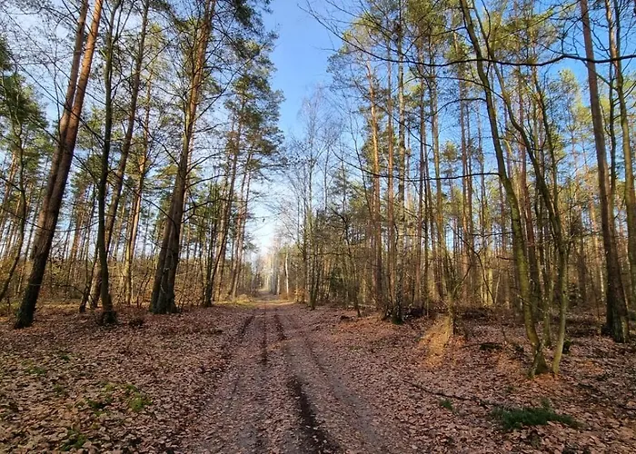 Mazurska Zatoka & - Nad Jeziorem Z Prywatna Plaza I Podgrzewanym Basenem Zewnetrznym, Mazury W Rytmie Slow * Лукта