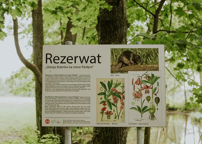 Mazurska Zatoka & - Nad Jeziorem Z Prywatna Plaza I Podgrzewanym Basenem Zewnetrznym, Mazury W Rytmie Slow Апартаменты Лукта